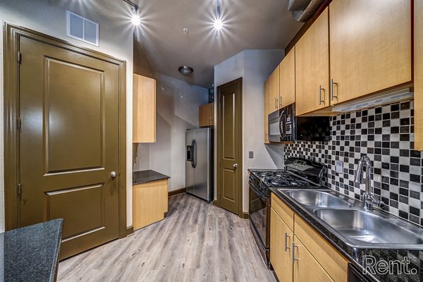 Modern kitchen with sleek countertops and stainless steel appliances at The Millennium Waterway luxury apartments