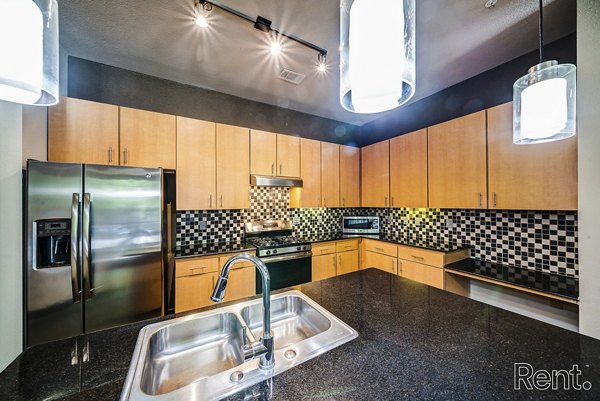 Modern kitchen featuring stainless steel appliances and granite countertops at The Millennium Waterway luxury apartments