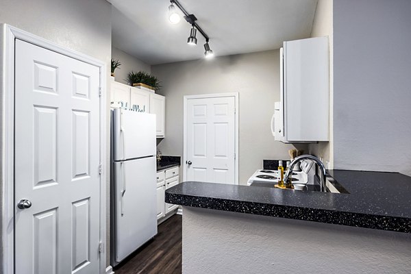 Contemporary kitchen with stainless steel appliances in Columns at Wakefield luxury apartments