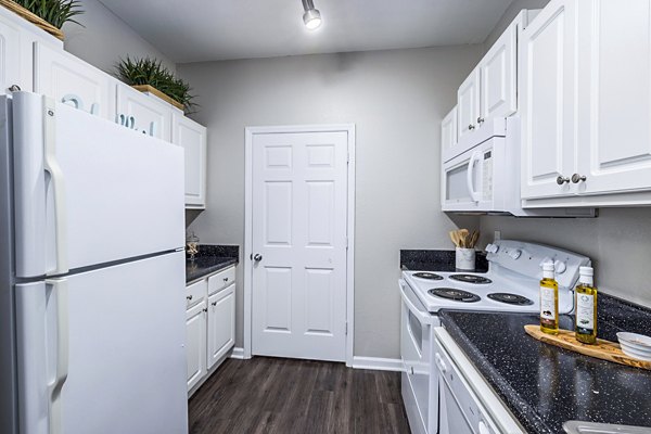 Kitchens featuring modern appliances and granite countertops in Columns at Wakefield luxury apartments