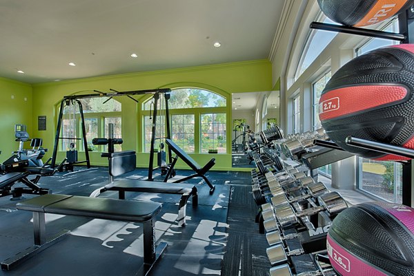 fitness center at Pinnacle Terrace Apartments