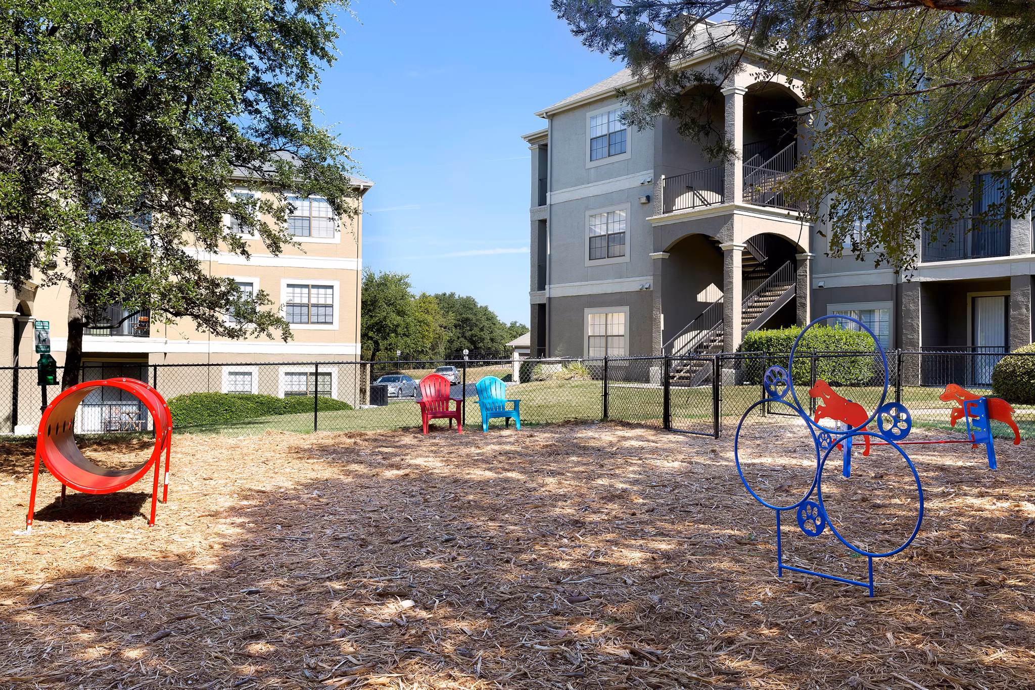 Spacious dog park with agility equipment at Folio Apartments, a luxury living community by Greystar
