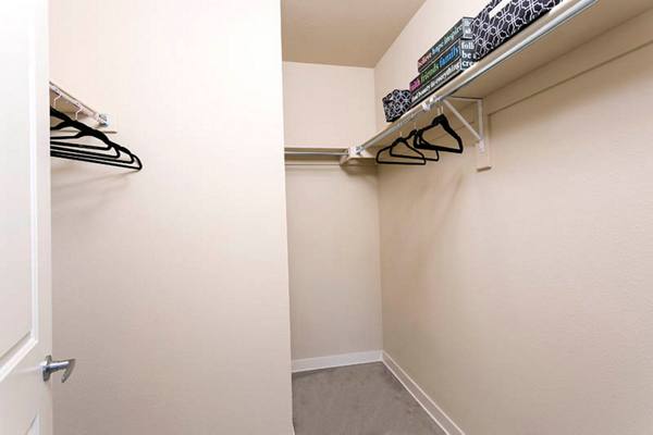 closet at HiLine at Littleton Commons Apartments