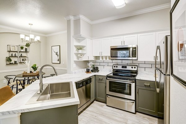 Modern kitchen with stainless steel appliances at Champions Apartments, Greystar luxury apartments in a vibrant community