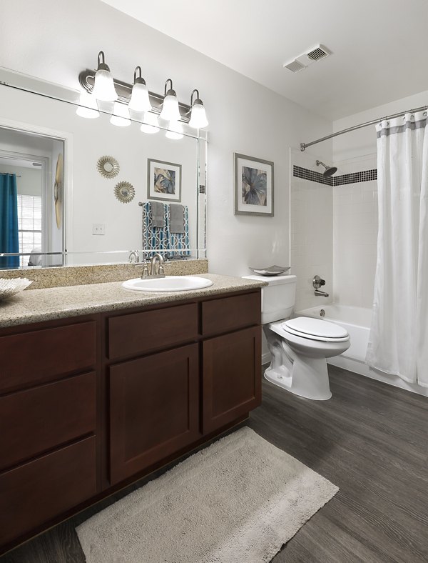 bathroom at The Village at Gracy Farms Apartments