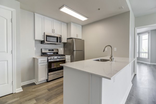 Hillside Village Apartments: Modern kitchen with stainless steel appliances and granite countertops in luxury apartment community
