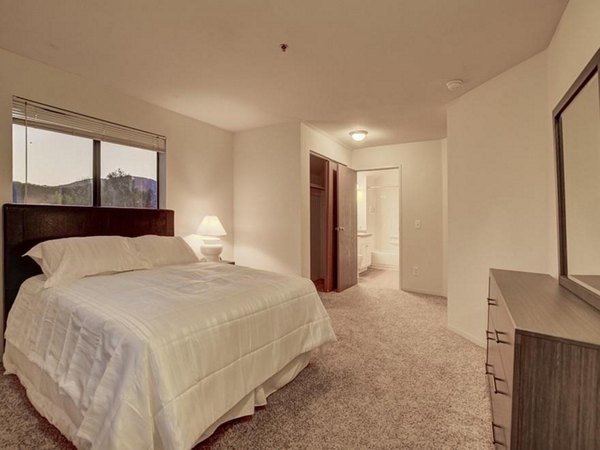 Cozy bedroom with plush carpeting and large windows at The View on 26th Apartments