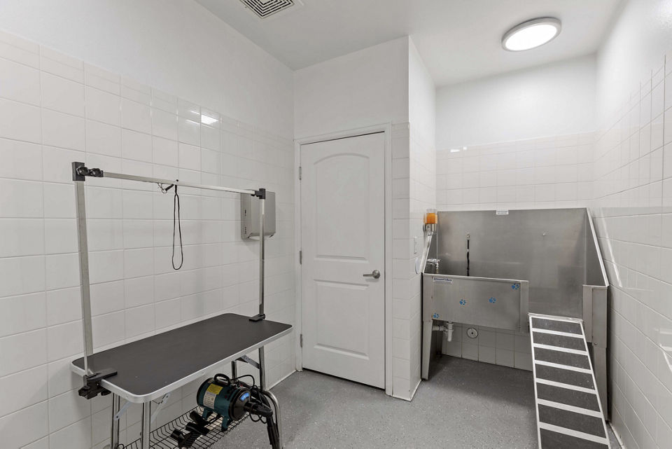 Convenient dog wash station at Vue 21 Apartments offering pet-friendly amenities
