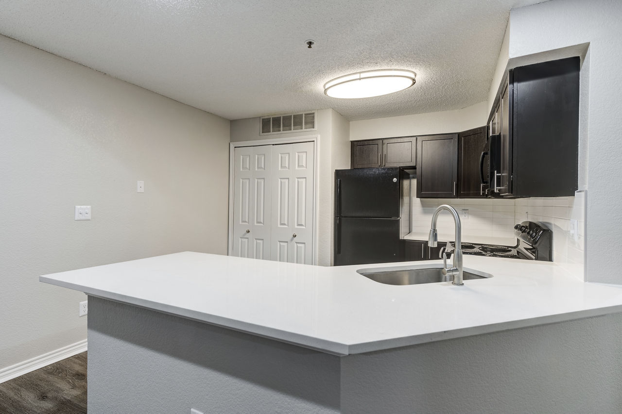Avana Belmar 20 of 27