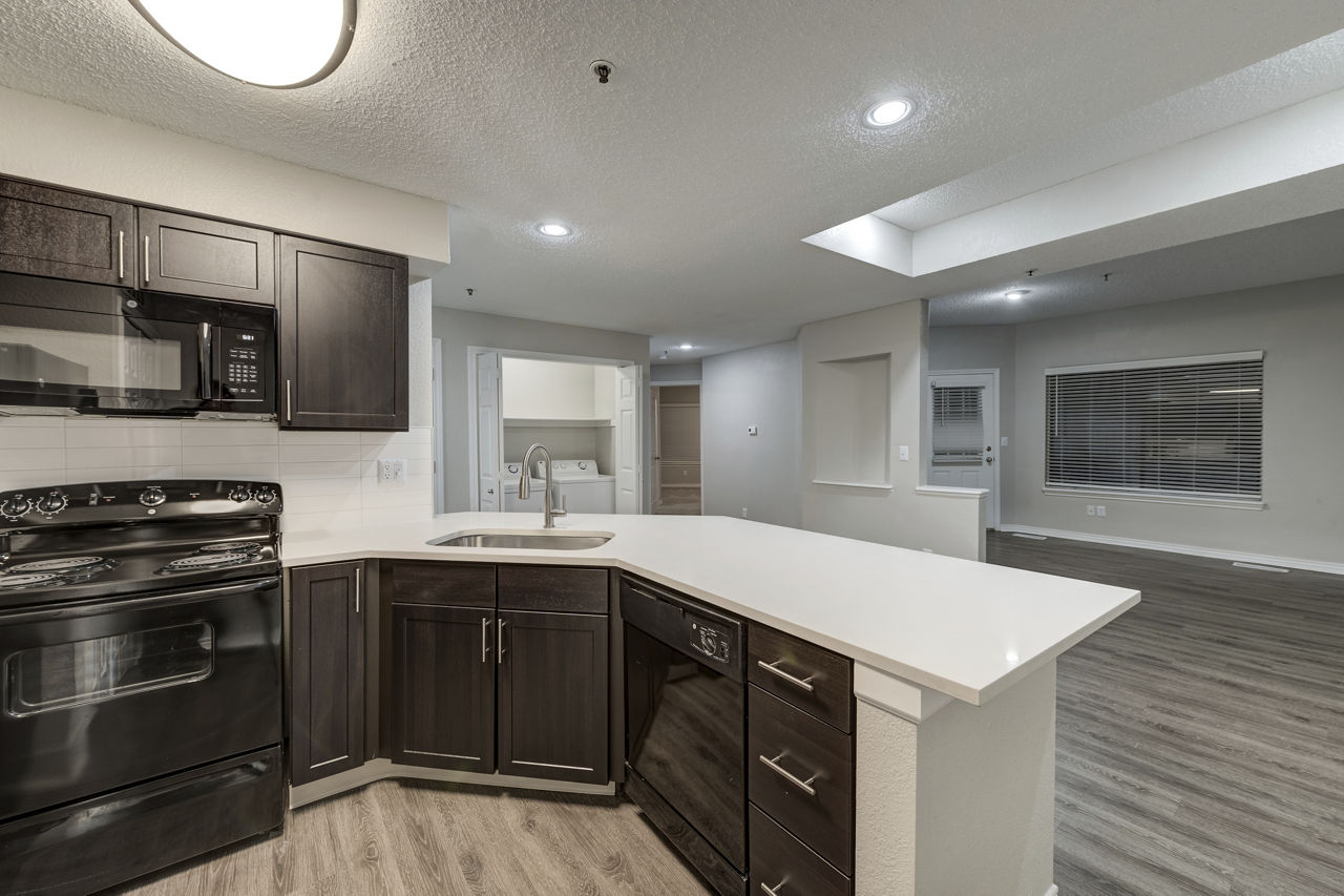 Avana Belmar 22 of 27