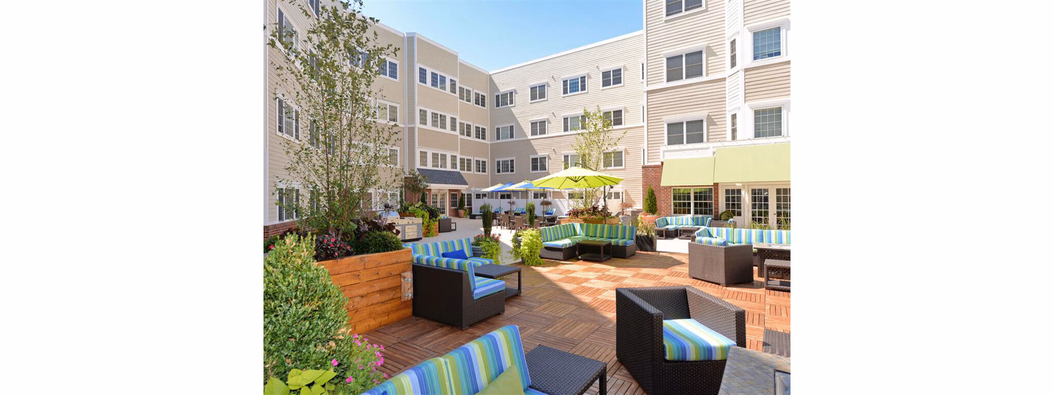 Courtyard with lush greenery at The Hawthorne Apartments, a luxury community by Greystar