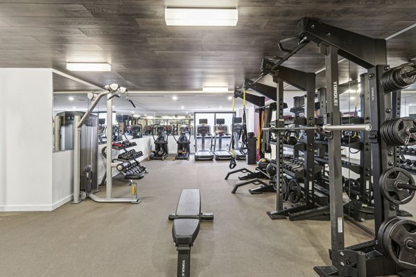 State-of-the-art fitness center with modern equipment at The Louis Apartments