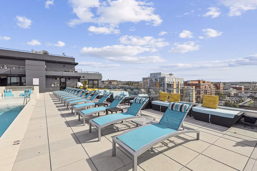 pool at Louis at 14th Apartments 