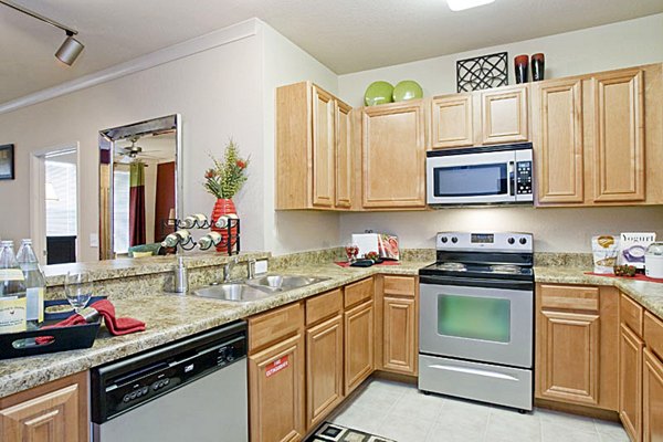 Sleek kitchen with stainless steel appliances and modern cabinetry at Aqua at Millenia Apartments