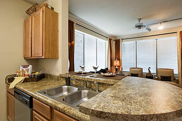 Modern kitchen with stainless steel appliances at Aqua at Millenia Apartments