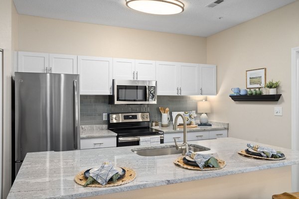 kitchen at The Morgan at Chapel Hill Apartments