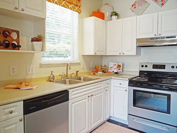 Modern kitchen with white cabinets, stainless steel appliances, and decorative accents in luxury apartments