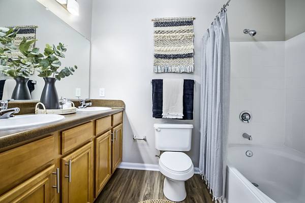 bathroom at Tradition at Stonewater Apartments