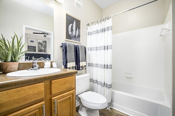 Elegant bathroom with marble countertops and modern fixtures at Tradition at Stonewater Apartments