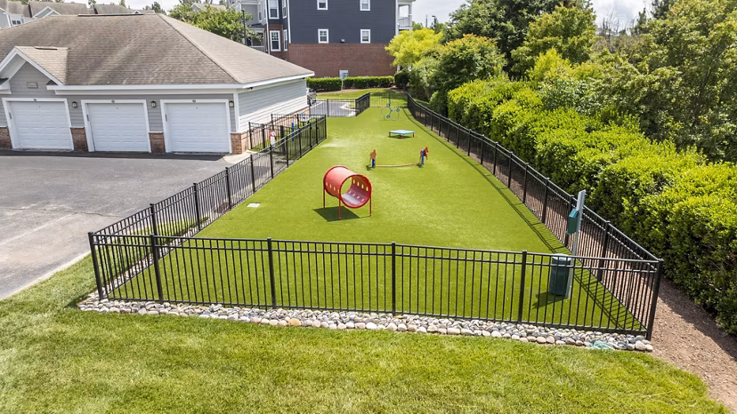 Dog park with agility equipment at Tradition at Stonewater Apartments offering luxury pet-friendly amenities