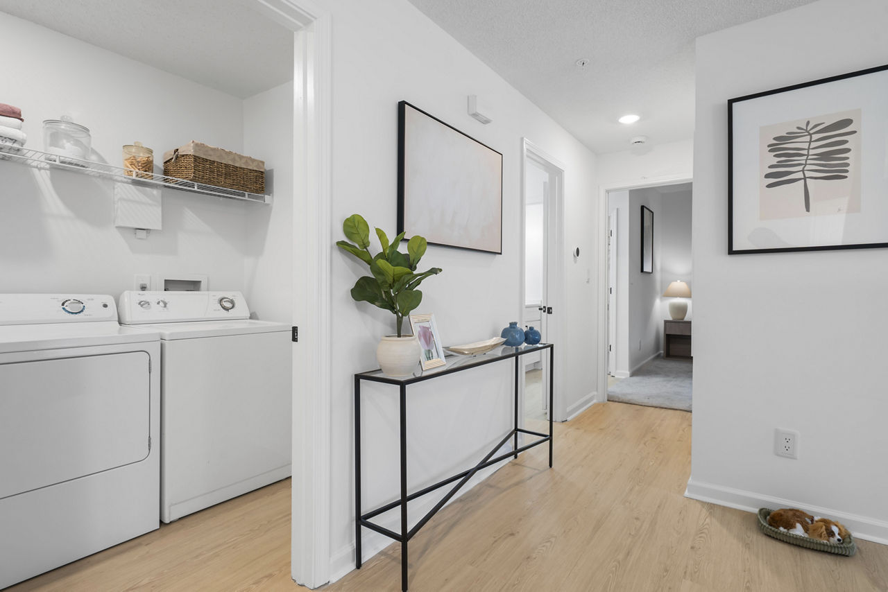 Laundry room at Avana Lexington