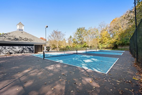 sport court at Avana Lexington Apartments
