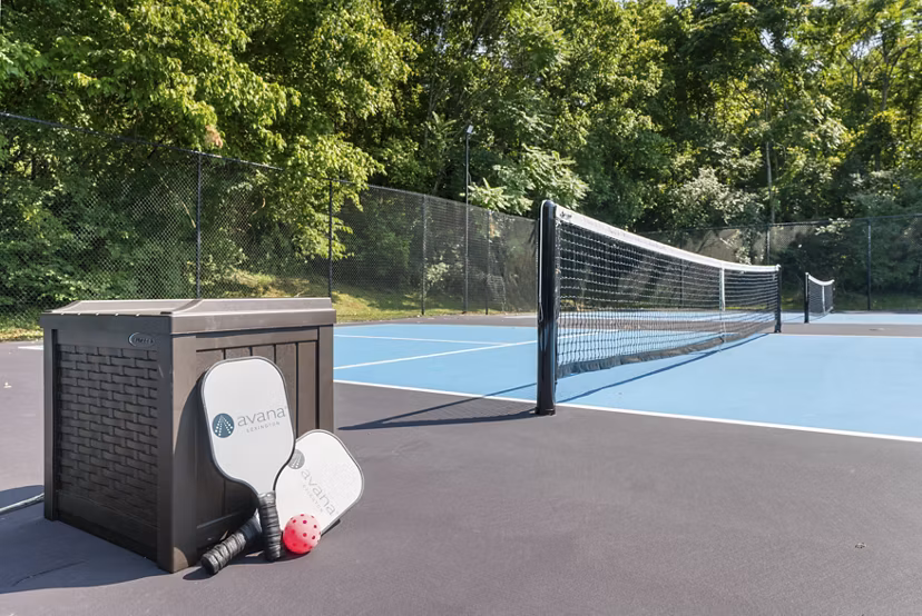 sport court at Avana Lexington Apartments