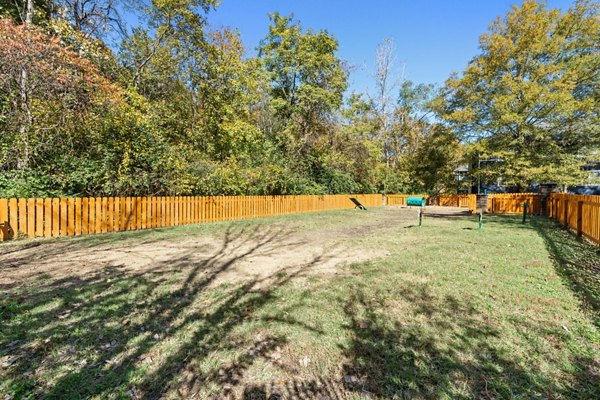 dog park at Avana Lexington Apartments