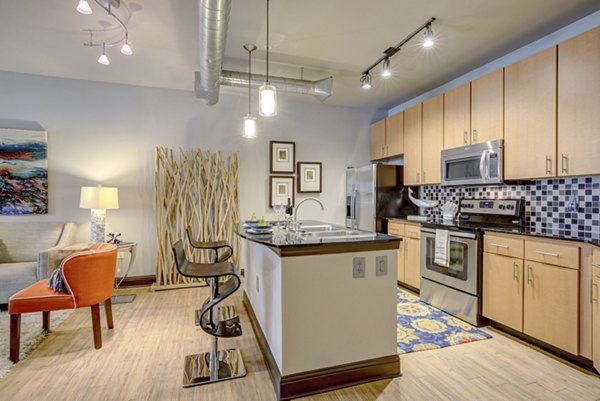 kitchen at Mosaic South End Apartments