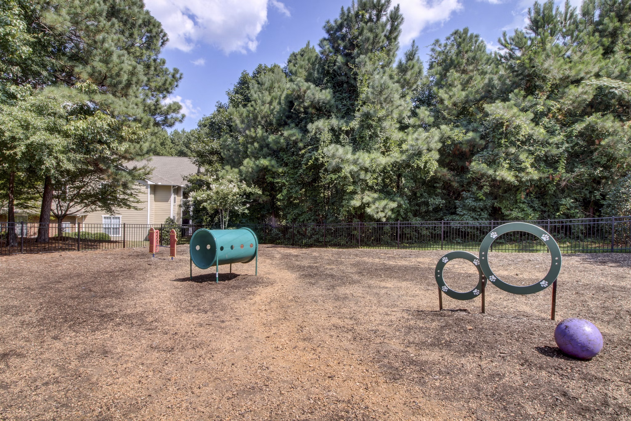 Spacious dog park with agility equipment at Morgan Reserve Apartments, perfect for pet-friendly living