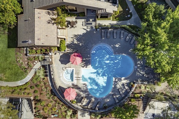 pool at Canyon Woods Apartments