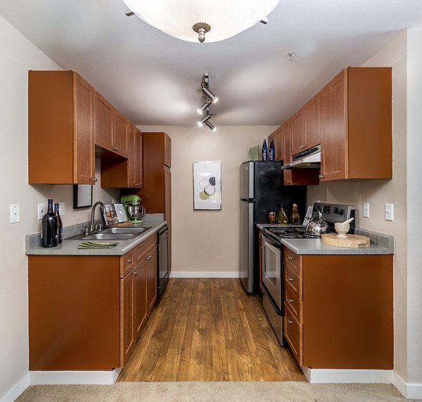 Modern kitchen with stainless steel appliances and sleek countertops in BluWater Apartments
