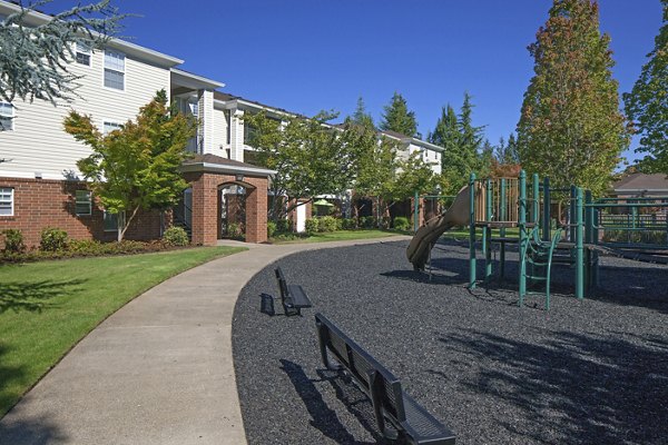 playground at Arya at Hedges Creek Apartments