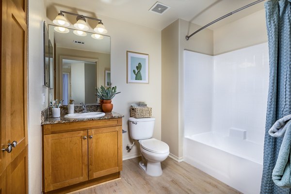 Luxurious bathroom featuring marble countertops and modern fixtures at Allure Apartments, a Greystar luxury property