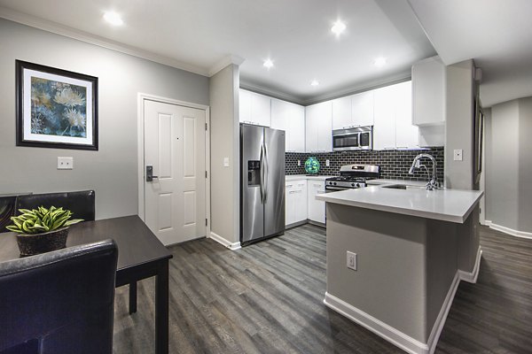 Modern kitchen with stainless steel appliances at Avana on Wilshire Apartments, offering luxury living in Los Angeles