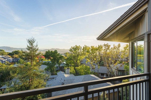 view at Larkspur Courts Apartments