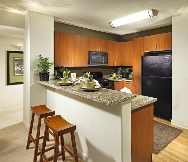 kitchen at Trio Apartments