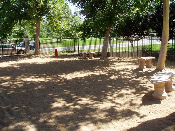 Dog-friendly recreational area with agility equipment at Westcreek Apartments
