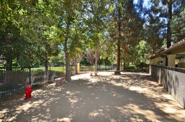 Dog park with agility equipment at Westcreek Apartments: pet-friendly space for residents' furry friends