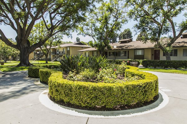 courtyard at Ventura Terrace Apartments