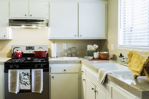 Modern kitchen with stainless steel appliances at Ventura Terrace Apartments, luxury living for culinary enthusiasts