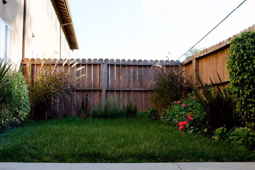 Spacious yard with manicured lawns at Ventura Terrace Apartments, perfect for outdoor relaxation and recreation