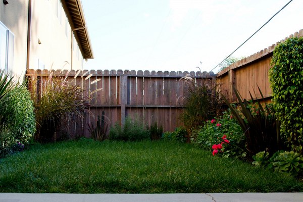 Spacious yard with manicured lawns at Ventura Terrace Apartments, perfect for outdoor relaxation and recreation