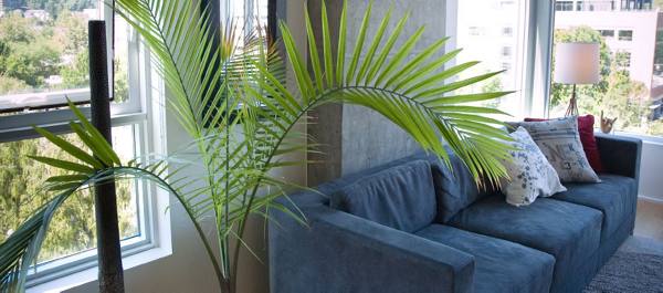 living room at Cyan PDX Apartments