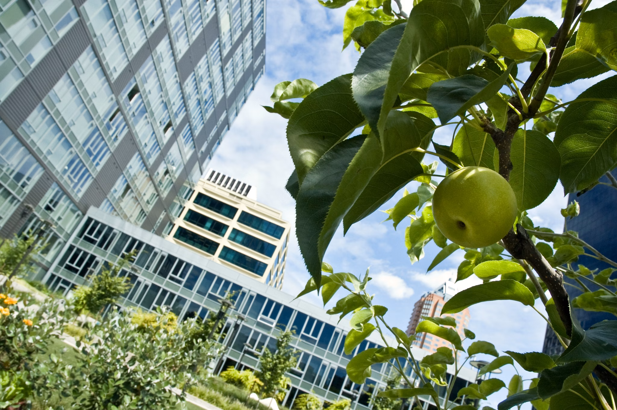 Cyan PDX Apartments: Modern view of luxury apartments in Portland