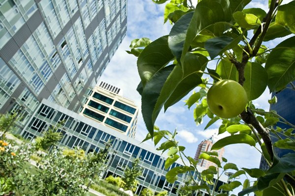 Cyan PDX Apartments: Modern view of luxury apartments in Portland