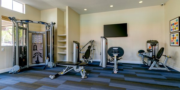 fitness center at Avila at Rancho Santa Margarita Apartments