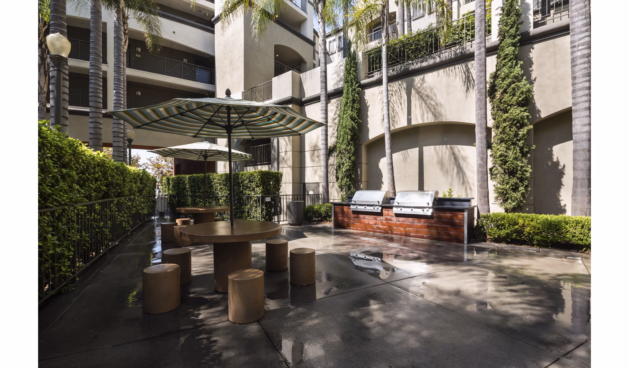 Holly Street Village Apartments: Modern grill area with seating and lush greenery, perfect for outdoor gatherings