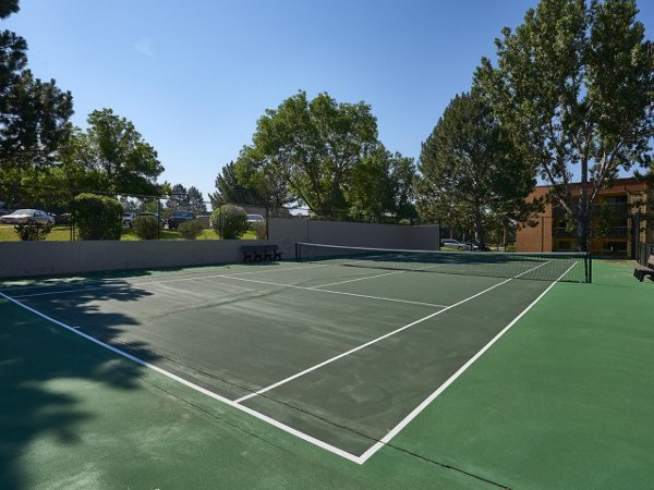 sport court at Sage at Panorama Apartments