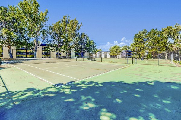 Outdoor sport court at Sage at Panorama Apartments, ideal for recreational activities and sports enthusiasts